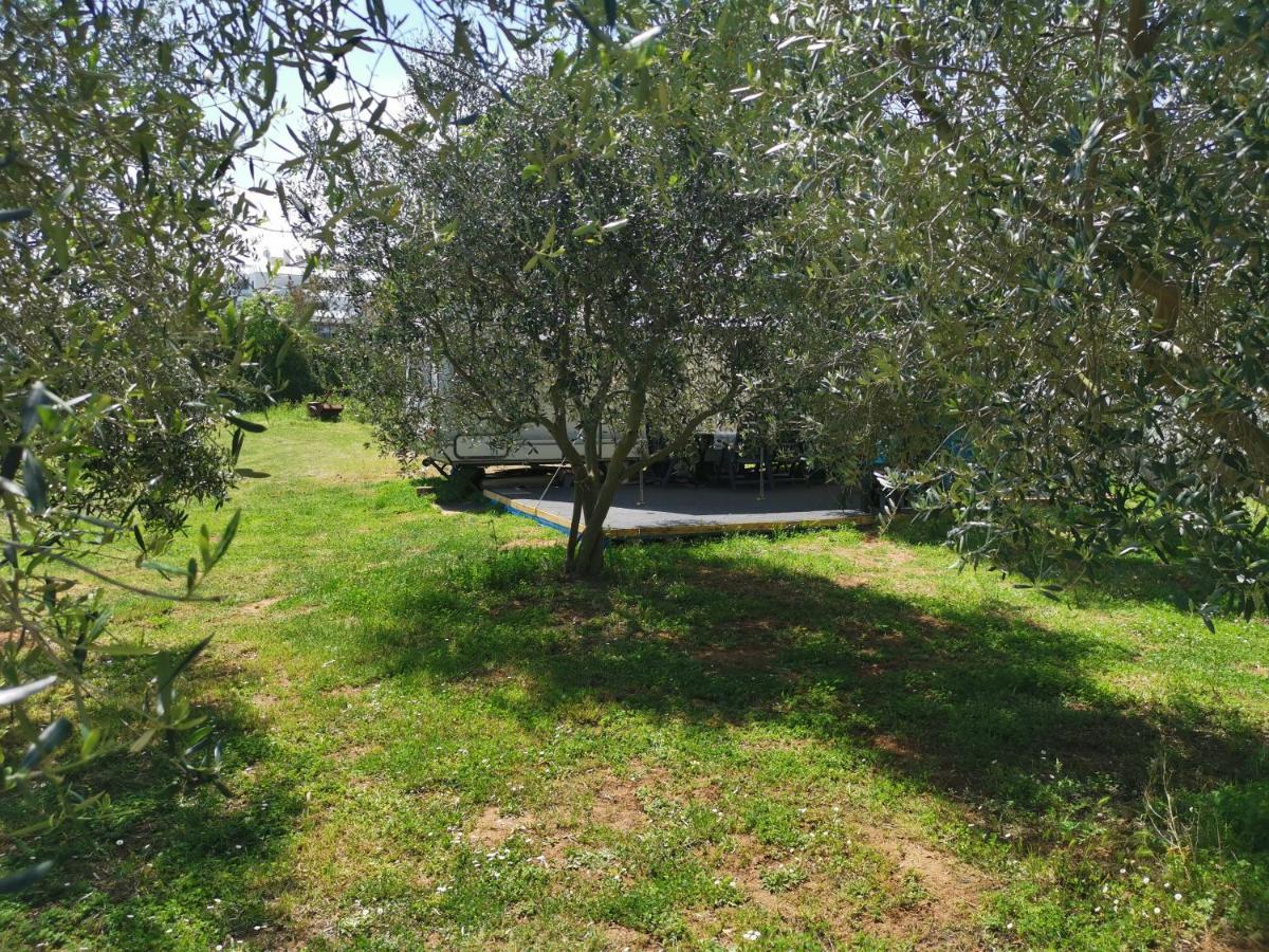 Large Camper In The Olive Grove Hotel Banjole Buitenkant foto