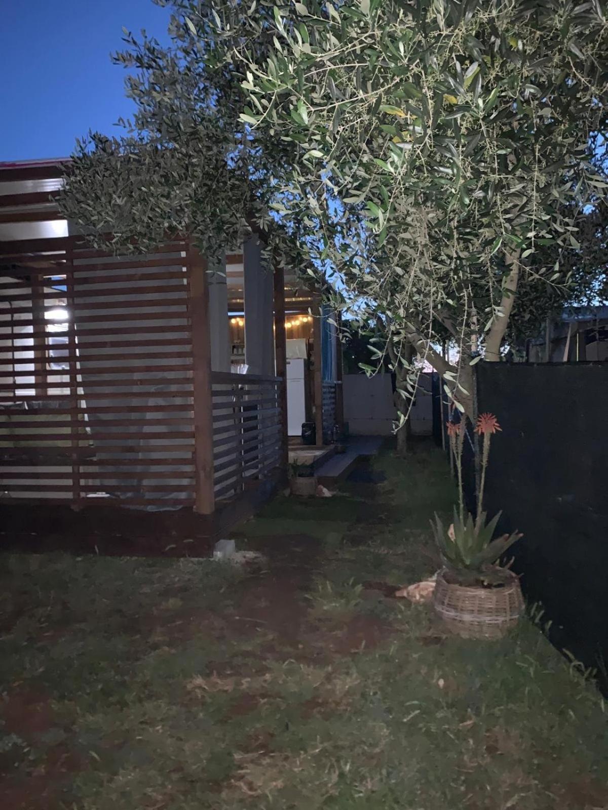 Large Camper In The Olive Grove Hotel Banjole Buitenkant foto